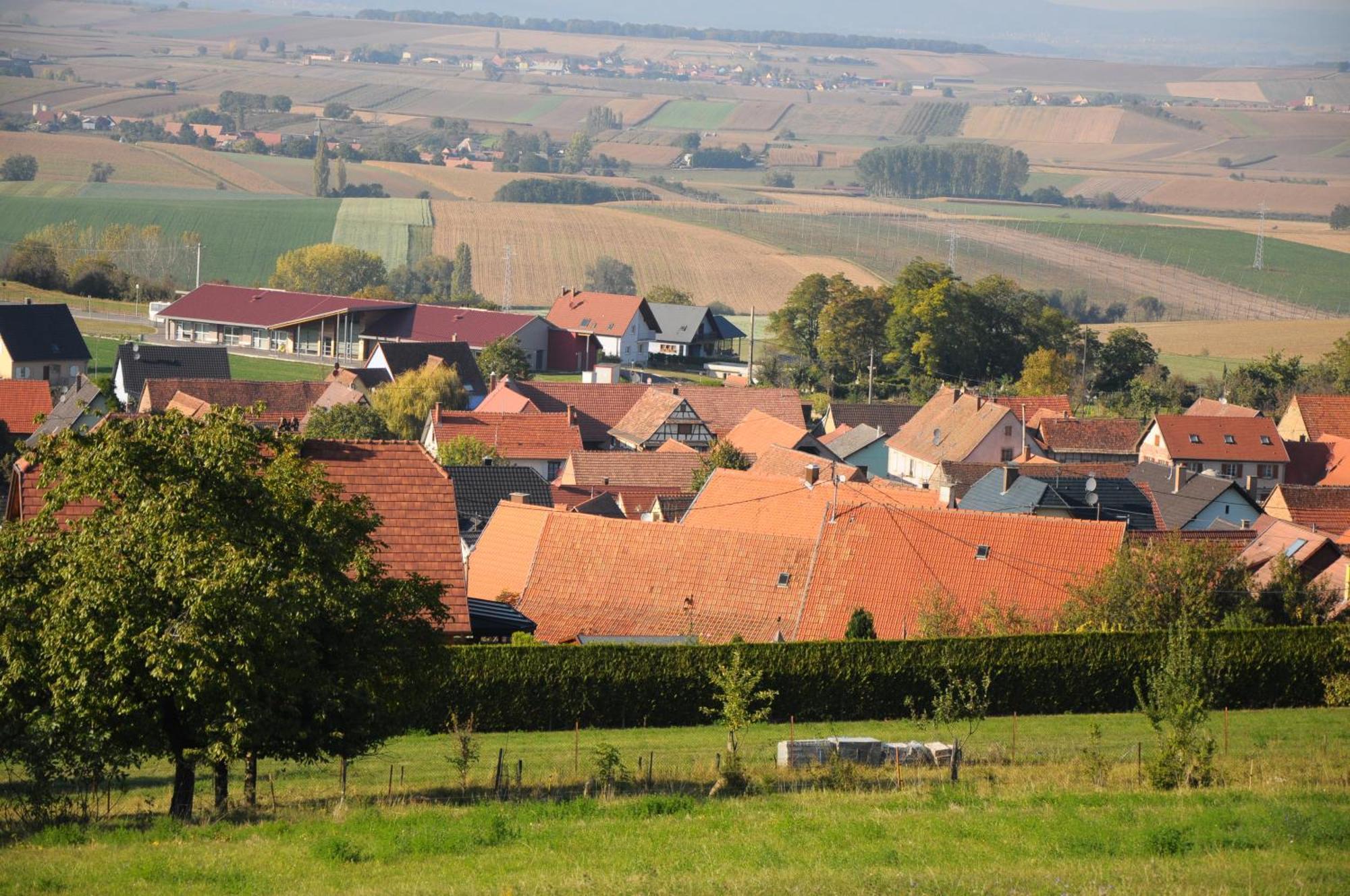 La Ferme De Louise Bed & Breakfast Hohengoeft Bagian luar foto