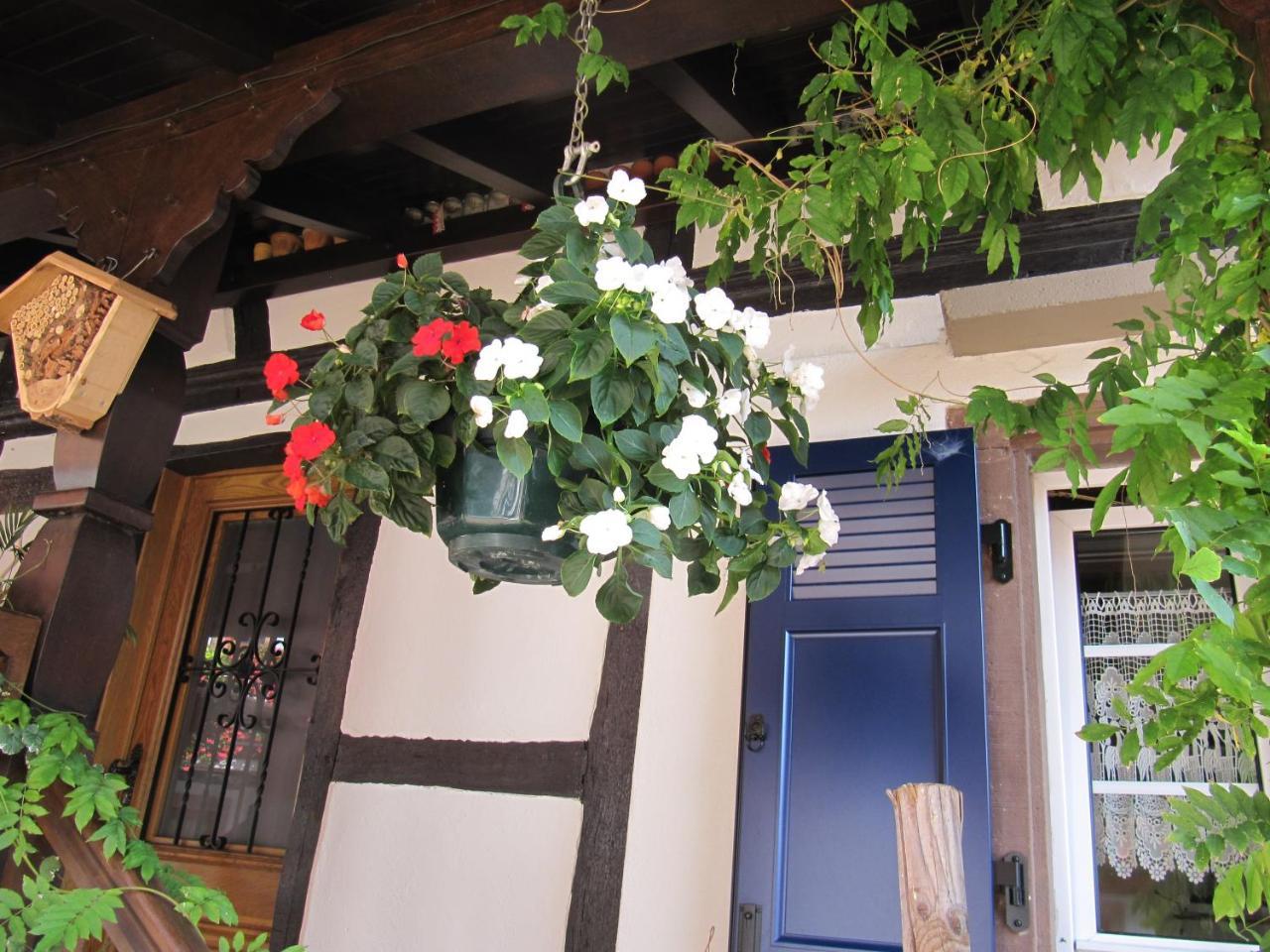 La Ferme De Louise Bed & Breakfast Hohengoeft Bagian luar foto